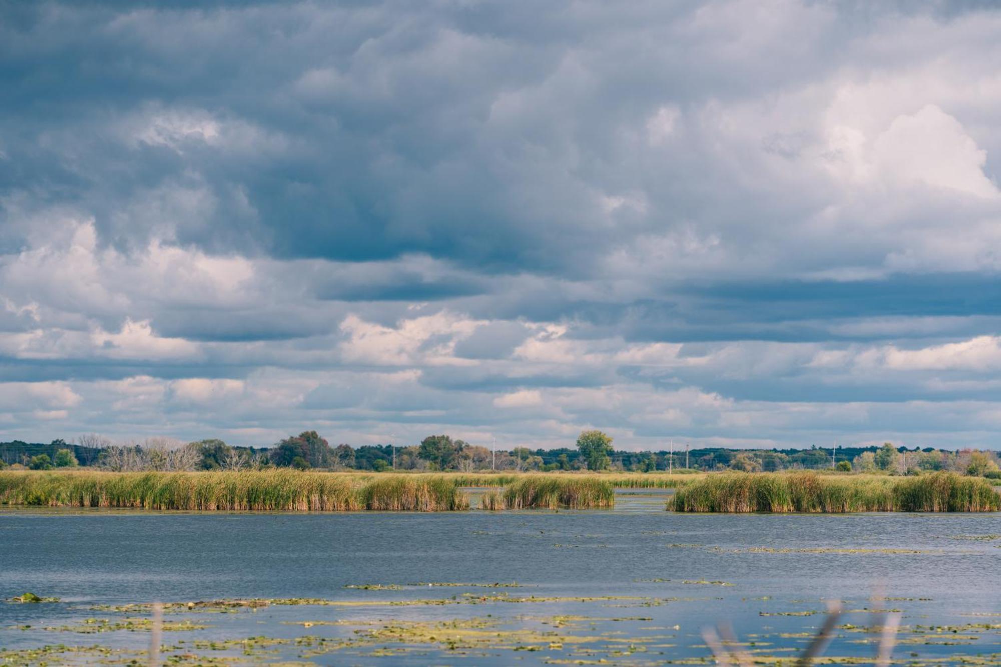 Weathervane Inn Montague Zewnętrze zdjęcie